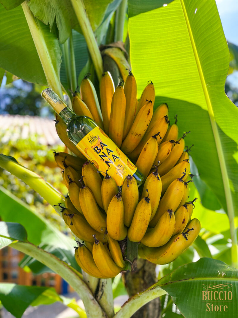 Liquore alla Banana - 700ml - immagine 3